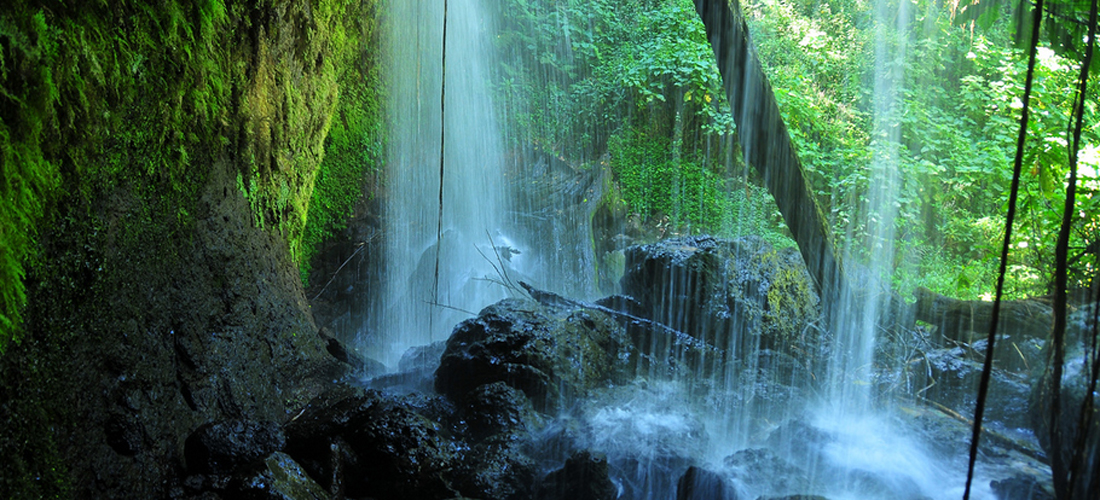 Mount Elgon National Park is one of the top Uganda Destination in Africa