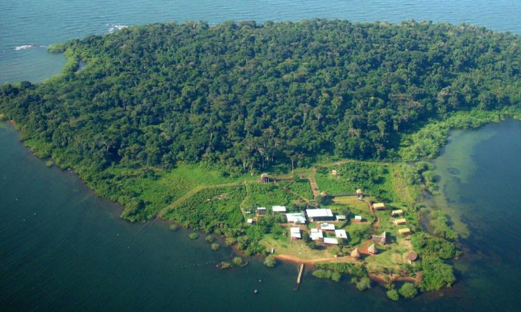 Ngamba Island Chimpanzee Sanctuary is one of the top Uganda Destination in Africa