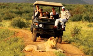 10 Best Tourist attraction Places to visit in Uganda