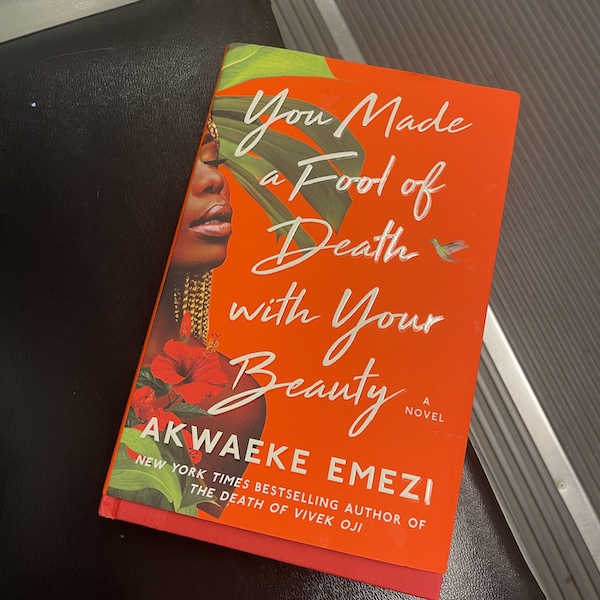 You Made a Fool of Death with Your Beauty – by Akwaeke Emezi - New Nigerian book